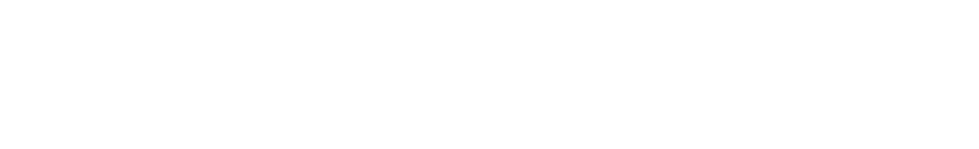 Logo_streifen_weiss_large